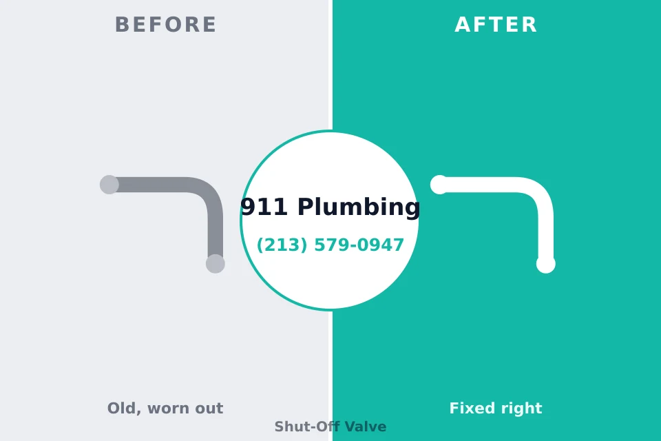 Before and after: plumbing repair Kurtistown, HI